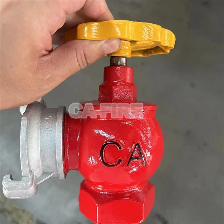 Fire Landing Valves