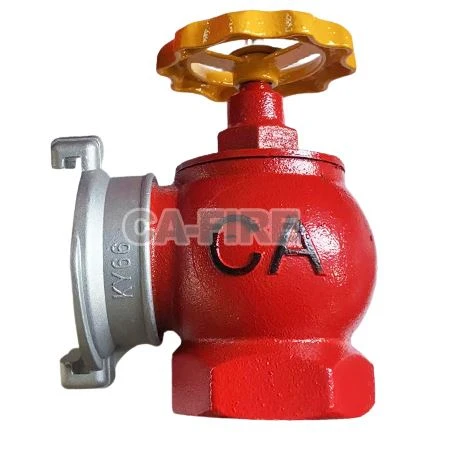 Fire Landing Valves