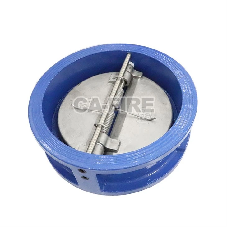 Check Valve (1)